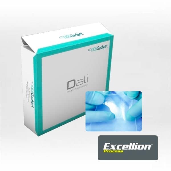 DALI Amnion / Chorion Membrane